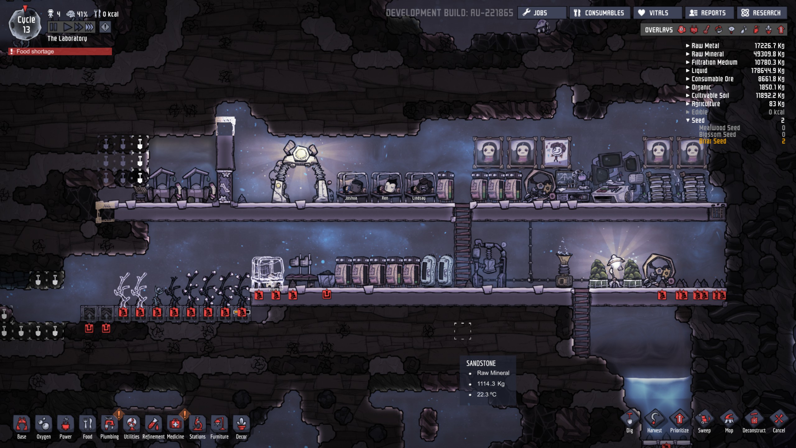 Oxygen Not Included 312713 download free